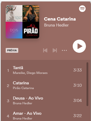Acesse a playlist do Spotify do Cena Catarina